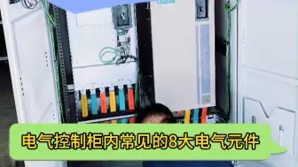 Télécharger la video: 电气控制柜内常用8大电气元件