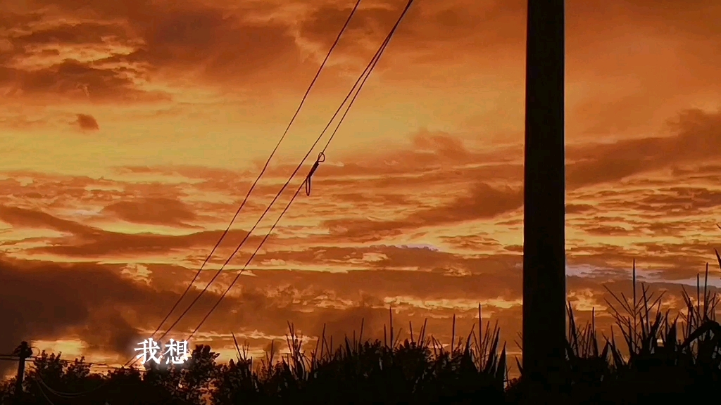 《撒野》72救赎