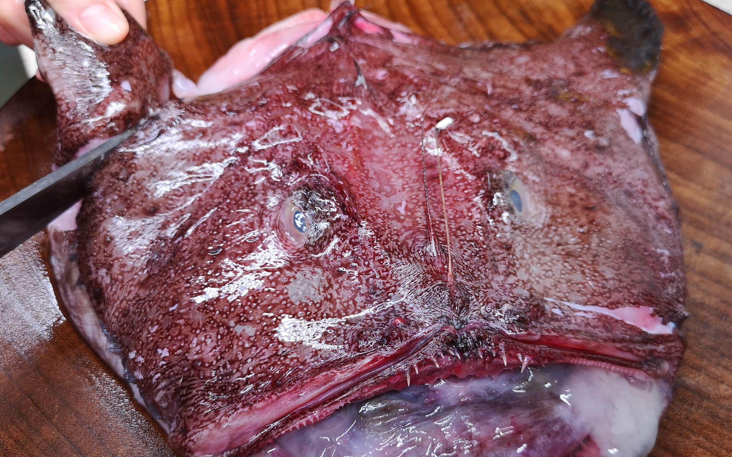 安康鱼这样做实在太好吃了年夜饭来一盘寓意福禄安康香