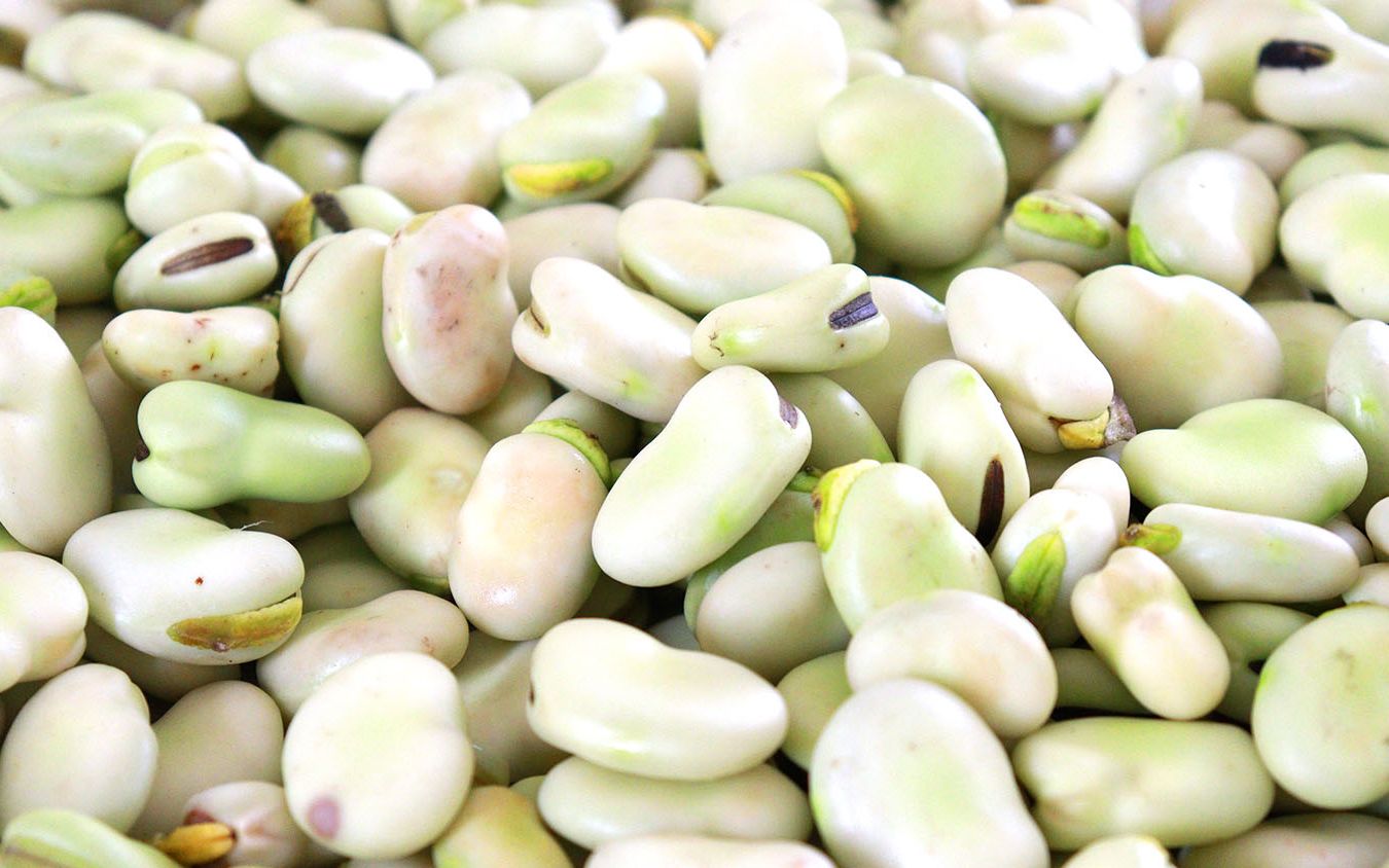 嫩胡豆,加上一块腊肉,教你四川家常做法,翻沙又入味,太香了_哔哩哔哩