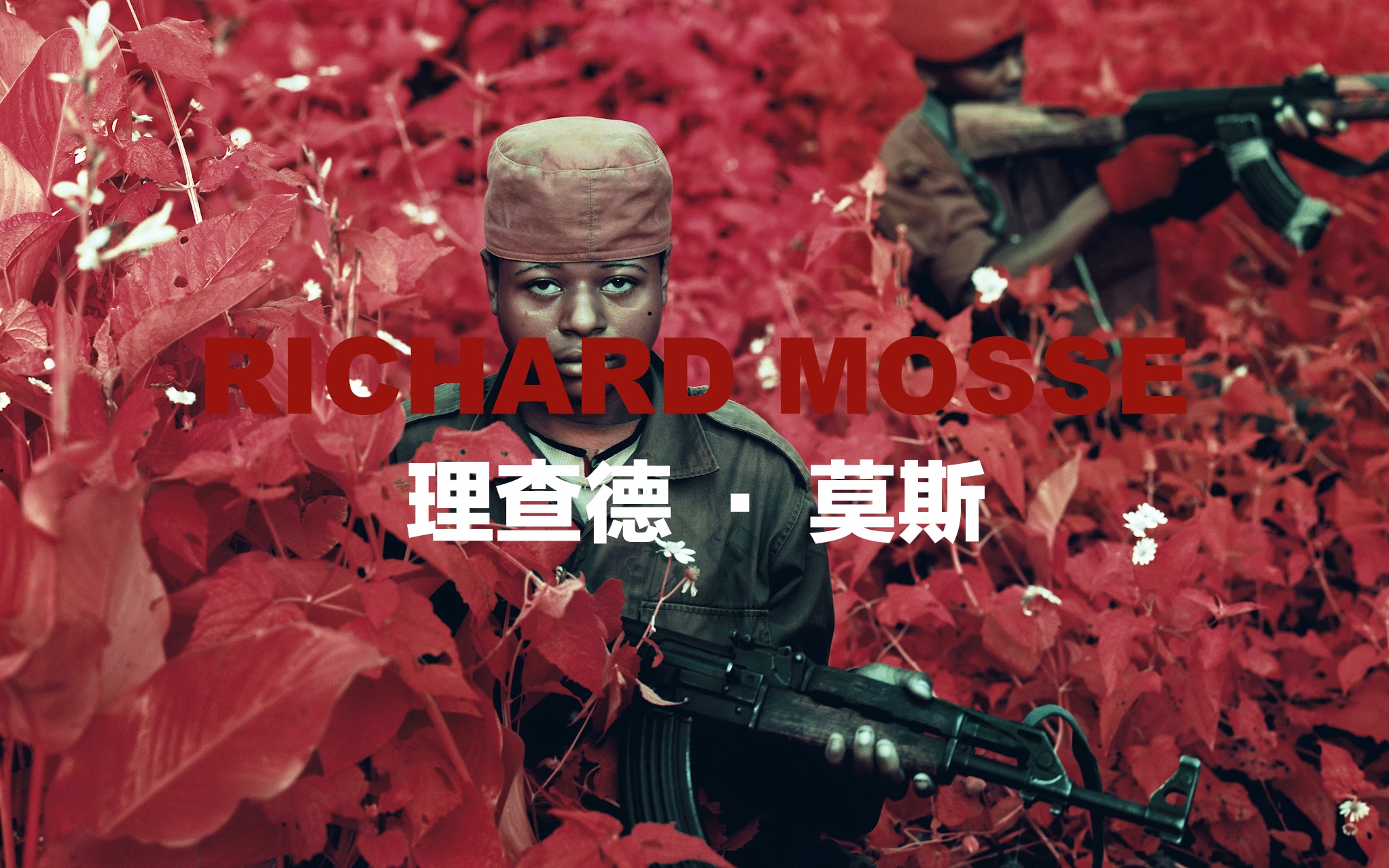 [图]艺术家理查德·莫斯 (Richard Mosse)记录人道主义危机和环境灾难/4K/纪录片/视觉/环境灾难/事件/冲突