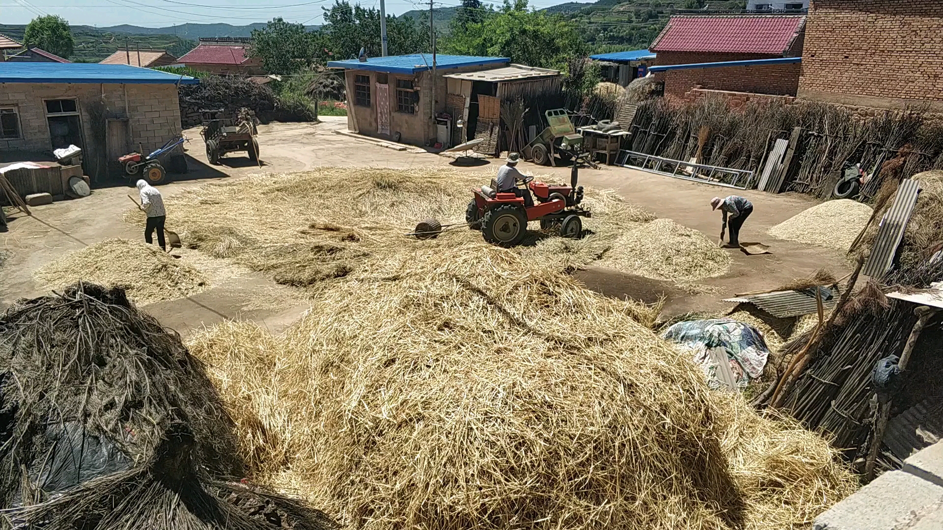 碾场:西北农村的小麦脱粒过程