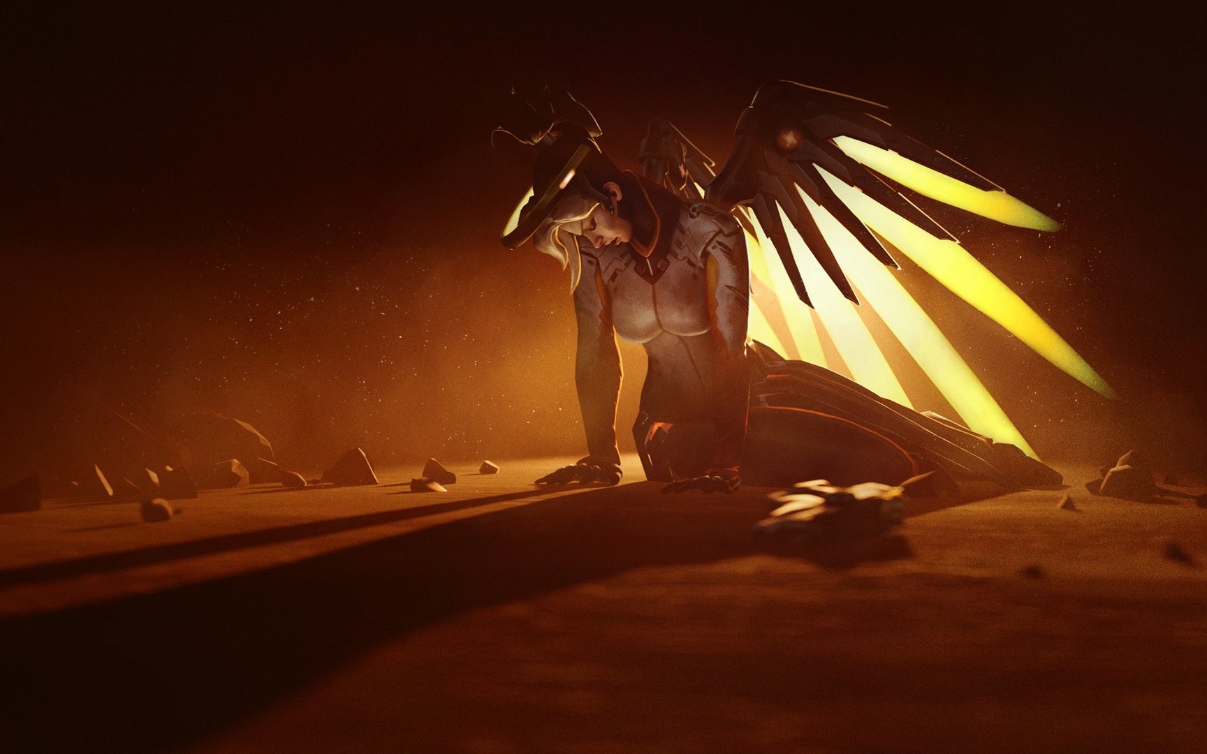 国土安全暗夜突袭