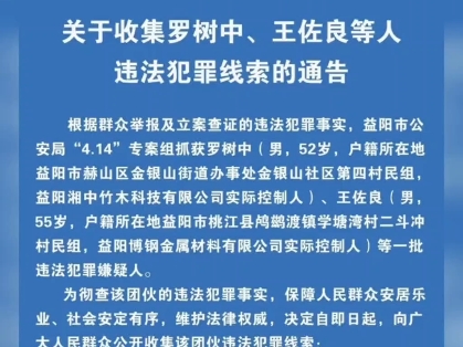 罗树中 王佐良案 414案官方通报!(消息来源:湖南省高院;益阳红网)哔哩哔哩bilibili