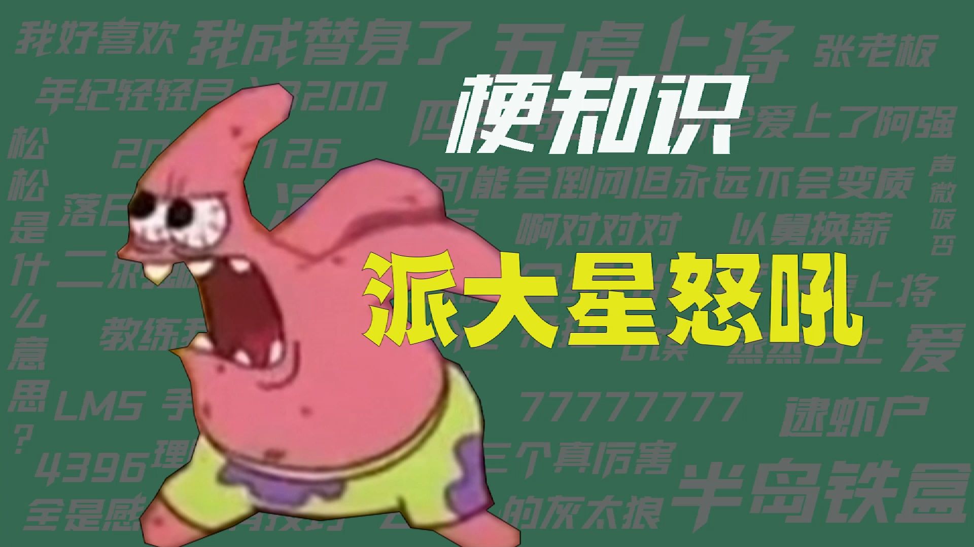 【梗知识】派大星怒吼