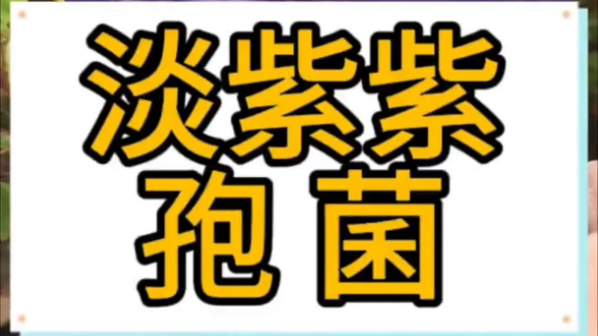 作为一种生物防治方法,淡紫紫孢菌具有高效、广谱、长效、安全、无污染、无残留等特点.哔哩哔哩bilibili