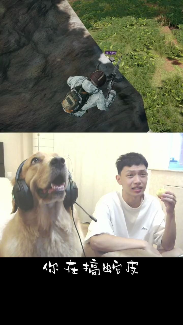 电竞狗:人不如狗