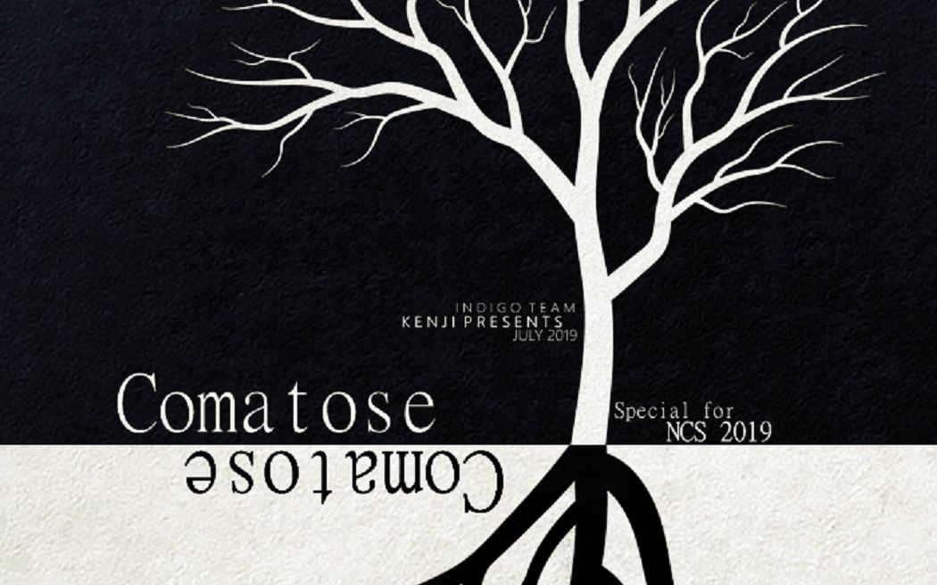 [ncs 2019/剧情系amv] comatose