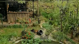 下载视频: 在山里，安安静静的听着雨声，那是最舒服的了