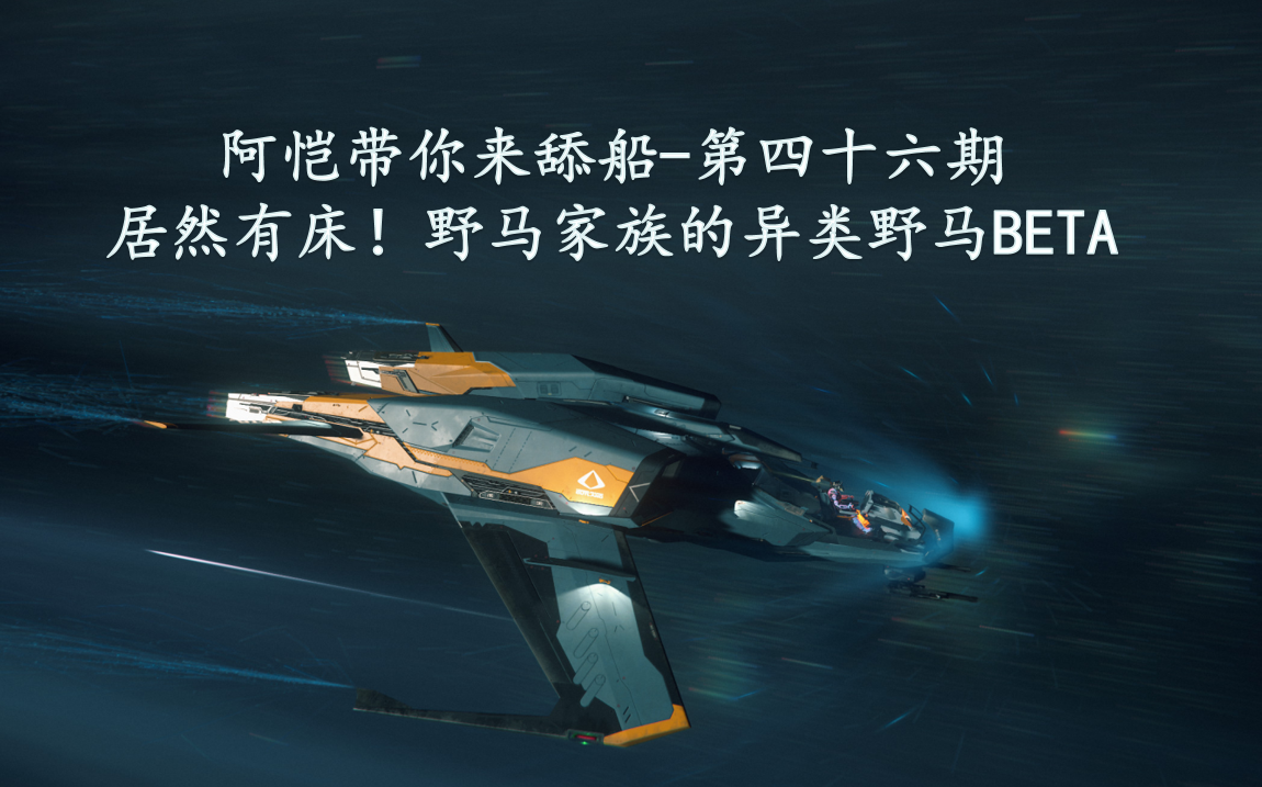 【星际公民】阿恺带你来舔船第四十六期-野马家族的异类野马beta