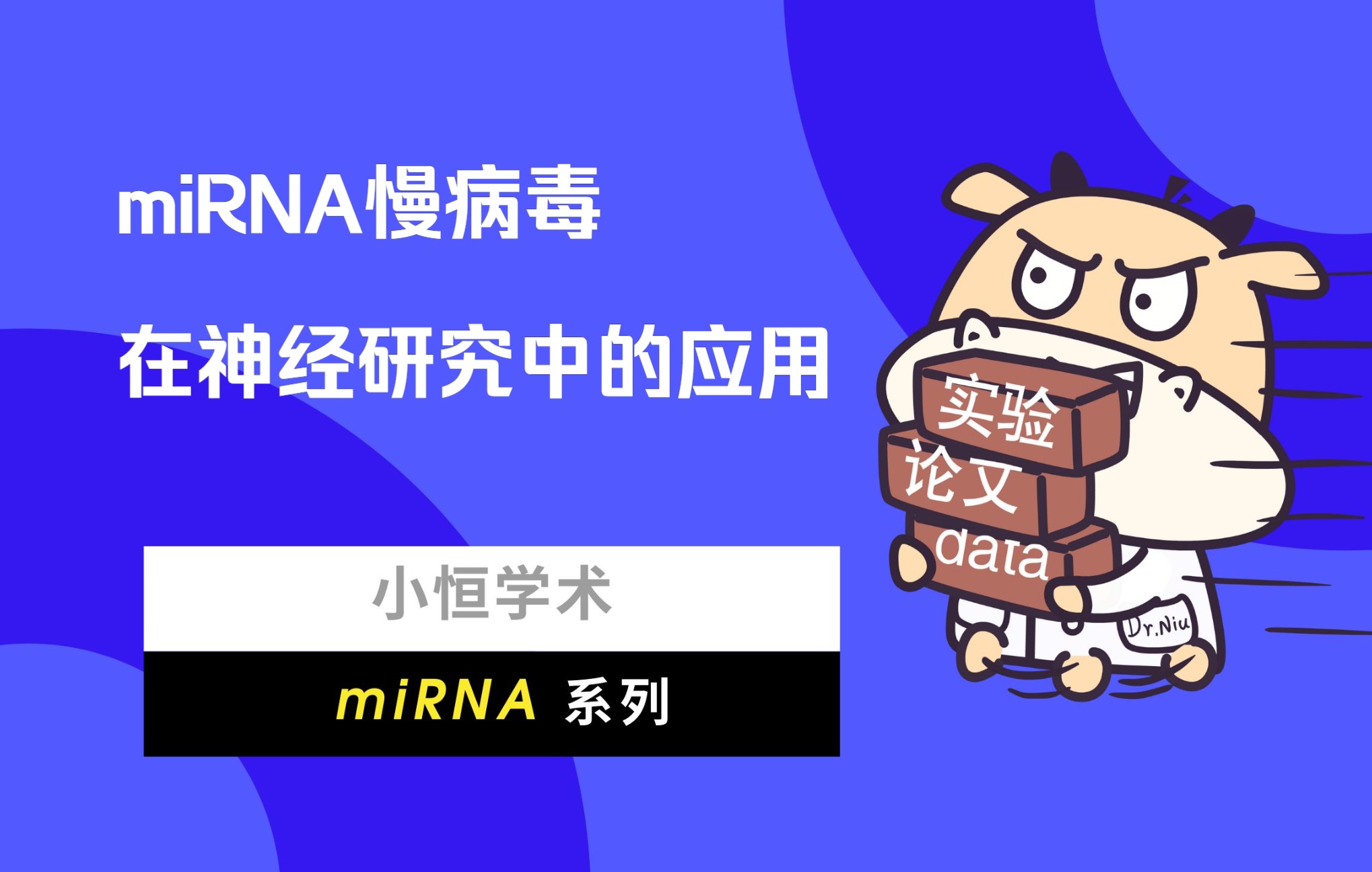 miRNA慢病毒在神经研究中的应用哔哩哔哩bilibili