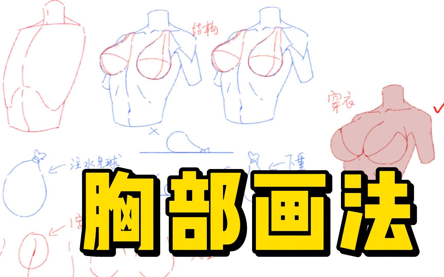 【绘画教程】一期正经教学!无不良引导!告诉你这样画胸部才是正确胸部画法!哔哩哔哩bilibili