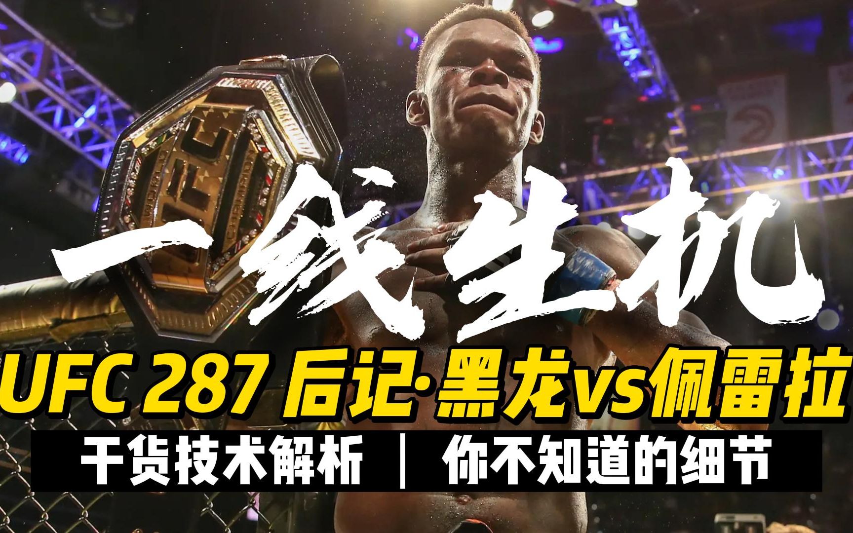 【一线生机】ufc287后记·黑龙vs佩雷拉 技术解析:你不知道的细节