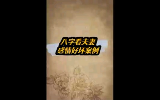 八字合婚看夫妻感情合不合哔哩哔哩bilibili