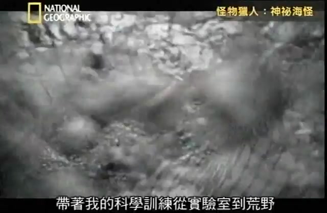 National Geographic 怪物猎人:神秘海怪 英文中字哔哩哔哩bilibili