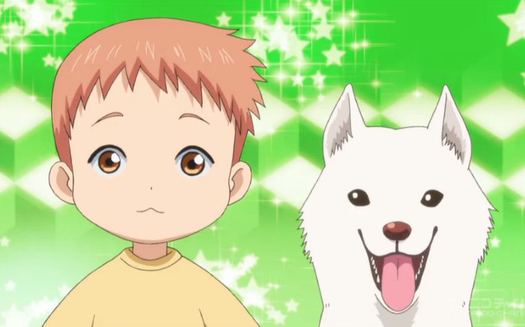 【7月】妖怪公寓的优雅日常 01 (日语弹幕反应)