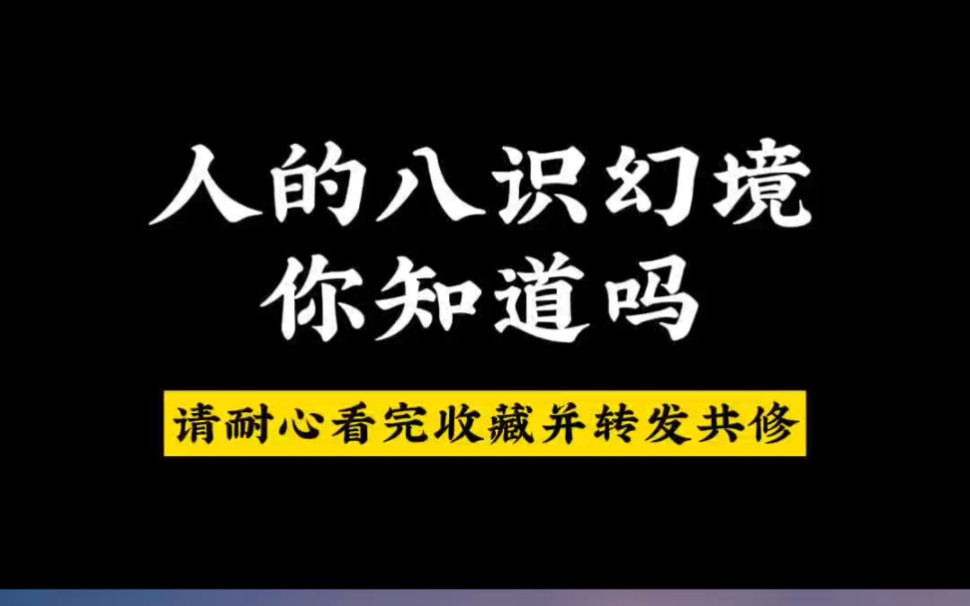 [图]人的八识幻境，你知道有哪些吗？