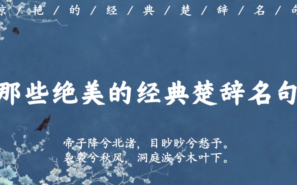 “朝饮木兰之坠露兮,夕餐秋菊之落英”|那些绝美的经典楚辞名句哔哩哔哩bilibili