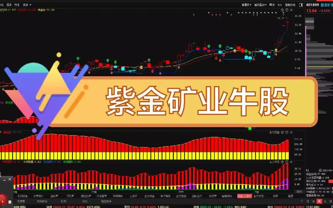 未来牛股:紫金矿业哔哩哔哩bilibili