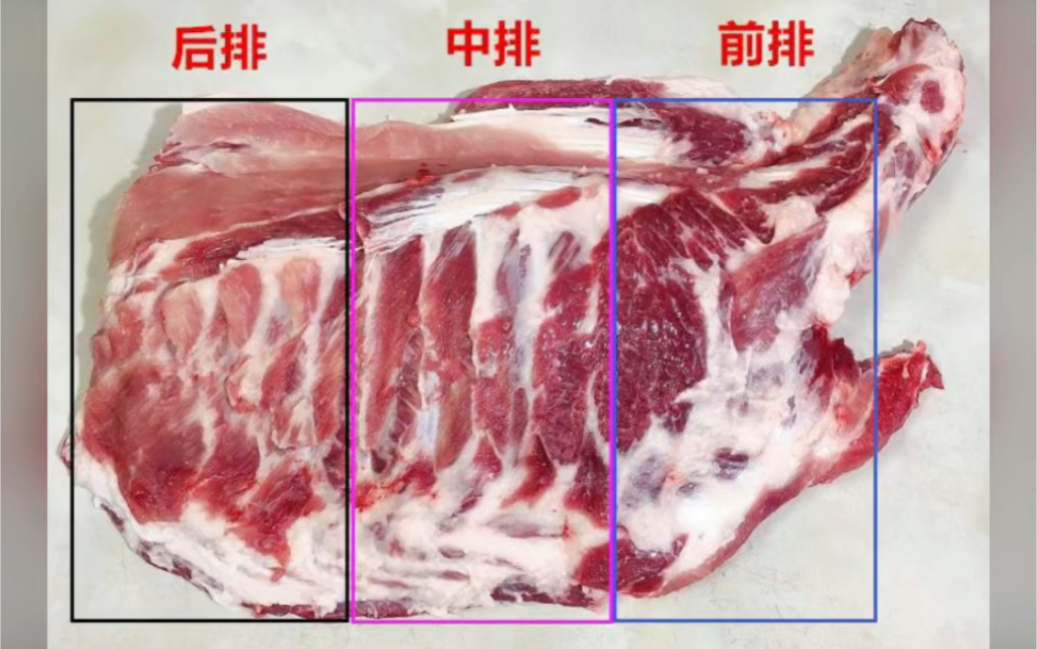 首先前排在到中排最后就是后排,#猪肉佬的日常生活 #涨知识了#生活