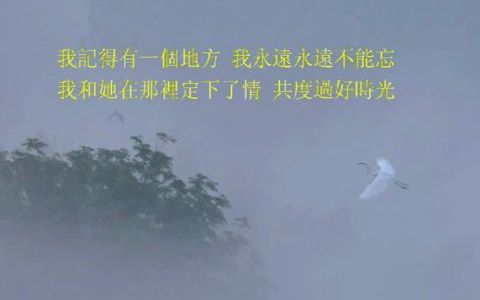 [图]怀旧舞曲·初恋的地方 - 慢三步舞曲伴唱