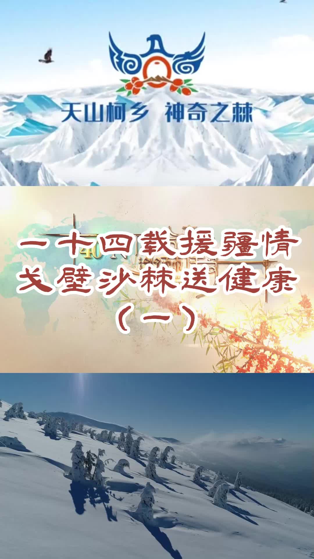 南疆沙棘果原浆,新疆棘鲜丰厂家为大家展示产品销售现场;可提供优质的沙棘养生水果,大果沙棘饮料哔哩哔哩bilibili