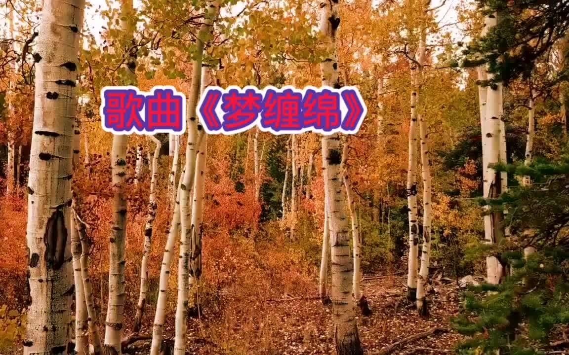 歌曲《梦缠绵》哔哩哔哩bilibili