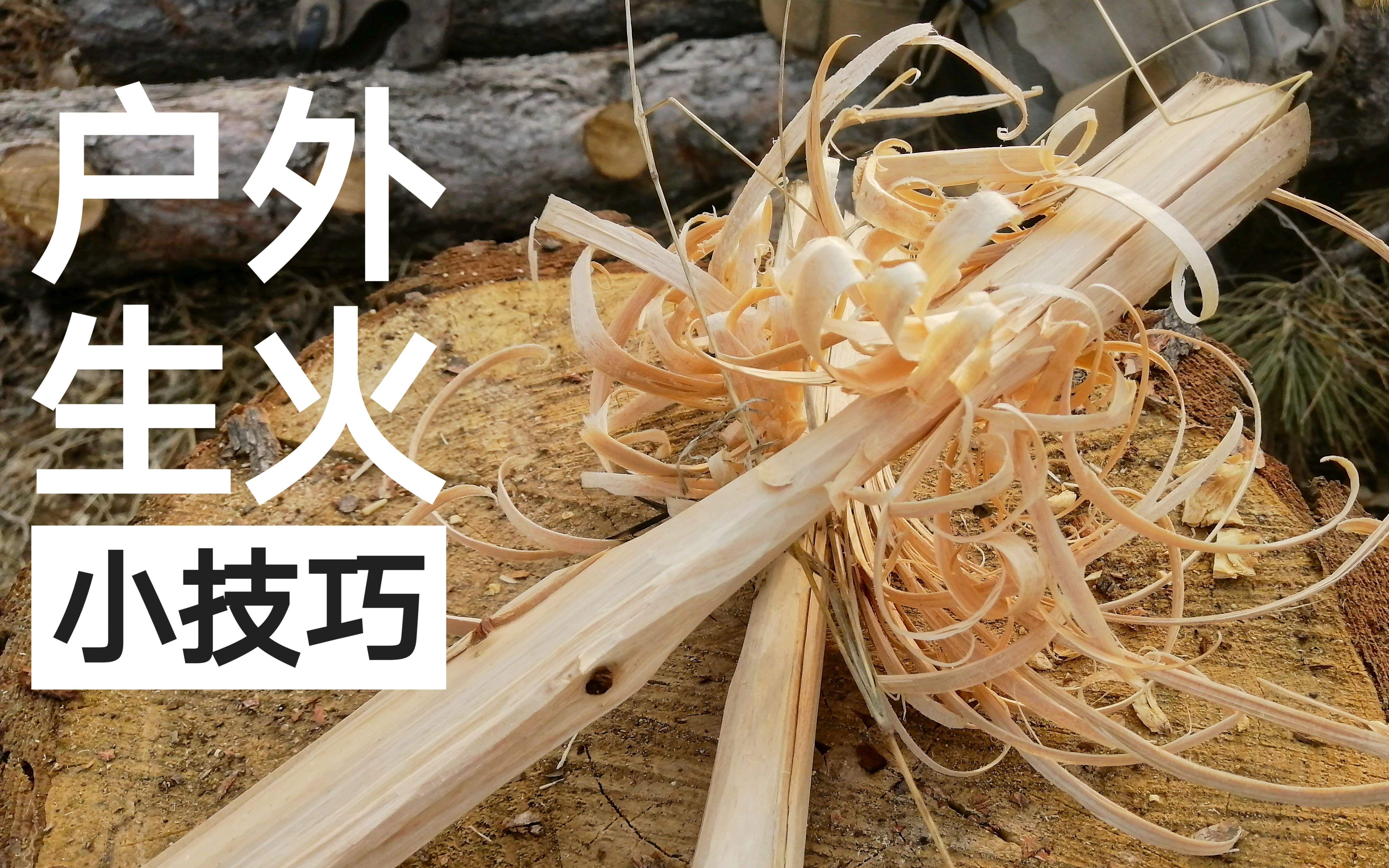 户外制作个羽毛棒用打火棒生火很简单bushcraft技能提升