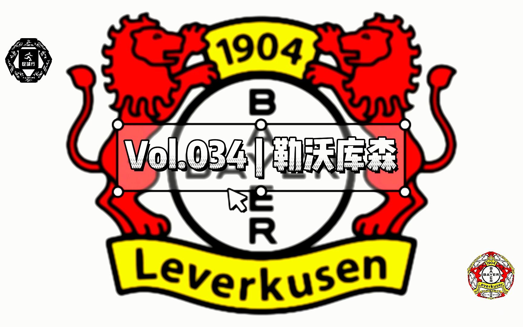 34|勒沃库森足球俱乐部|bayer 04 leverkusen