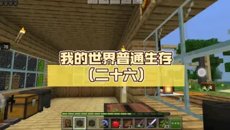 我的世界普通生存（二十六）
