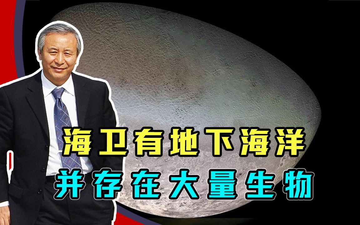 中美科学家:海卫一有地下海洋,并存在大量生物,结构与人类不同哔哩哔哩bilibili