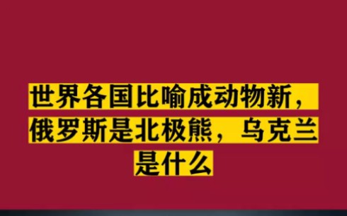 世界各国比喻成动物新,俄罗斯是北极熊,乌克兰是什么哔哩哔哩bilibili