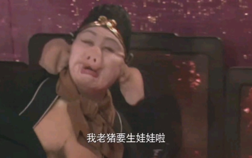 老猪要生娃娃了