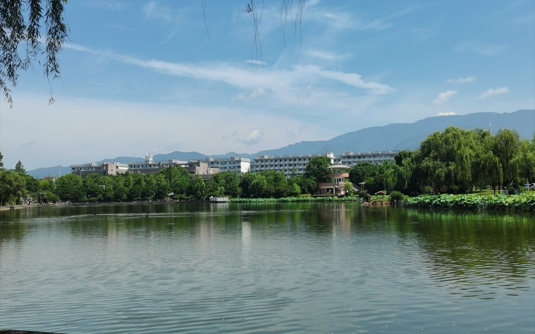 离校前浙师大夏日风景