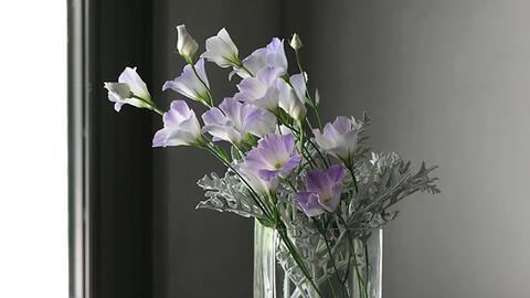 家居插花的几个小技巧 花瓶固定法 网购鲜花 哔哩哔哩 Bilibili 家居插花的几个小技巧 花瓶固定法 网购鲜花 哔哩哔哩 Bilibili