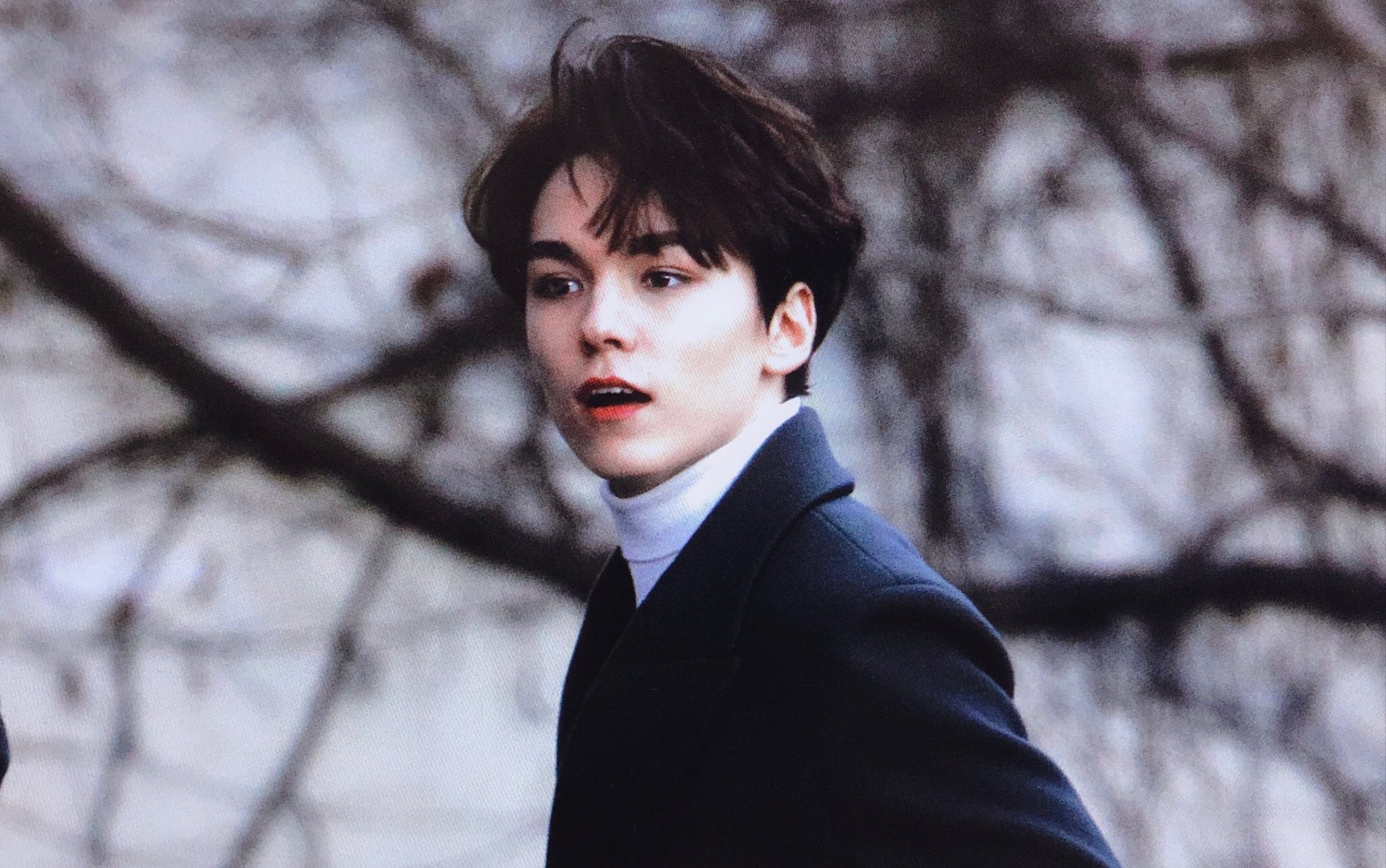 focusvernon好凶的粟米茶190123gettingcloser