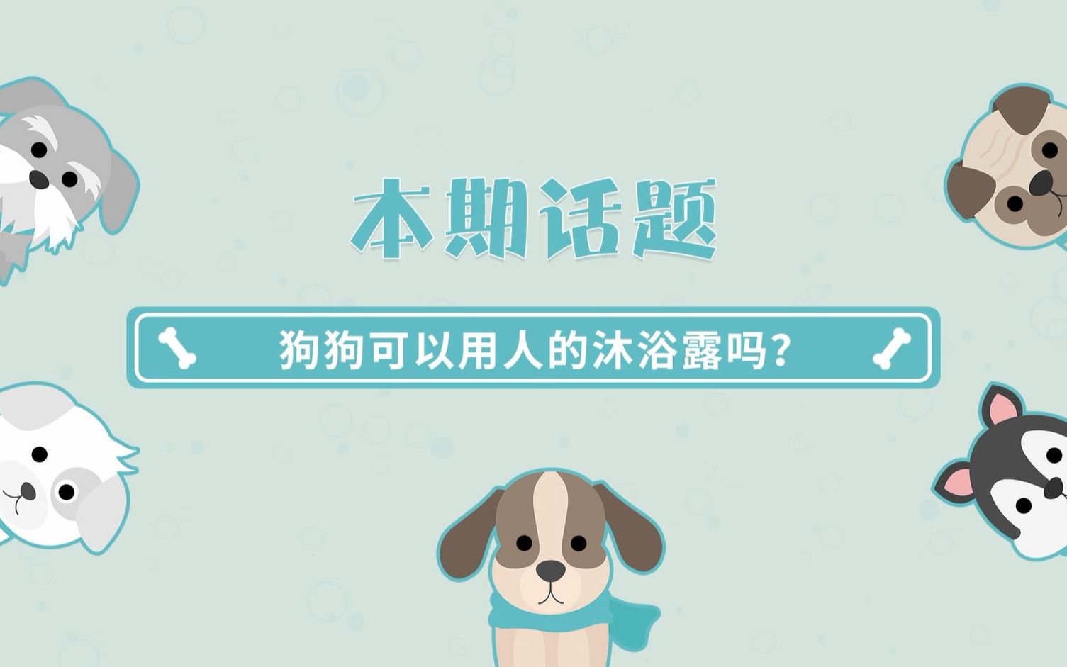 狗狗可以用人的沐浴露吗?哔哩哔哩bilibili