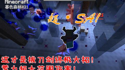 Minecraft Pro 我的白日梦 Minecraft Pro 我的白日梦