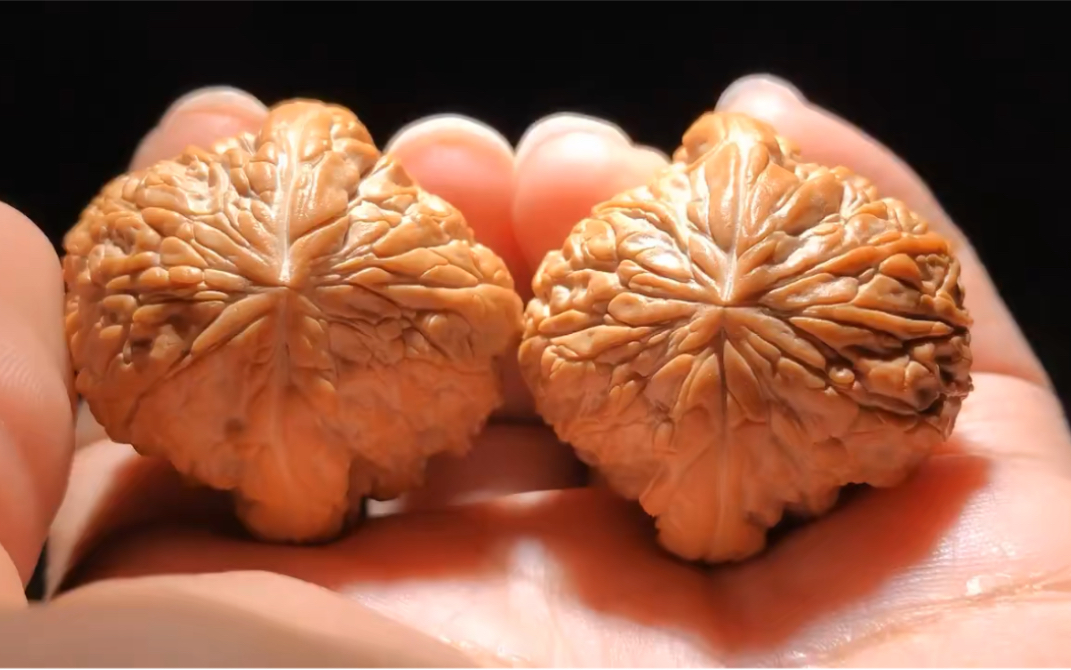 5×36平谷暴雪狮子头高度32,蟒纹脑袋筷子粗大厚边雪花底,难得几乎全