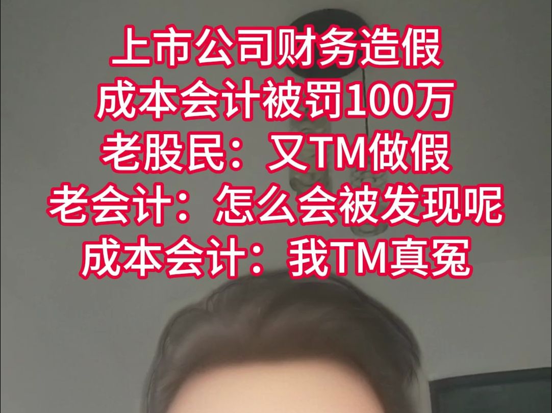 上市公司造假,会计被罚100万,老股民:又TM做假,老会计:怎么会被发现呢?成本会计:我T哔哩哔哩bilibili