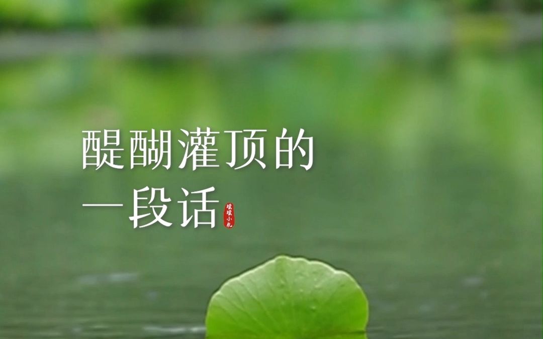 不经受风雨,看不懂沧桑,不经历人情,看不透人心.哔哩哔哩bilibili