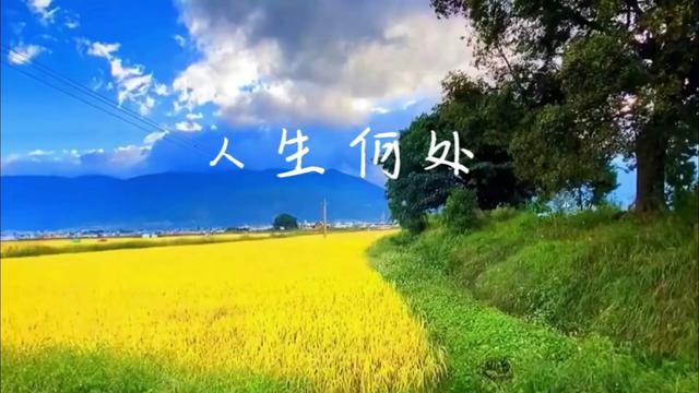 孙艺琪《人生何处》| 这忙忙碌碌又沉沉浮浮,谁不是好辛苦.