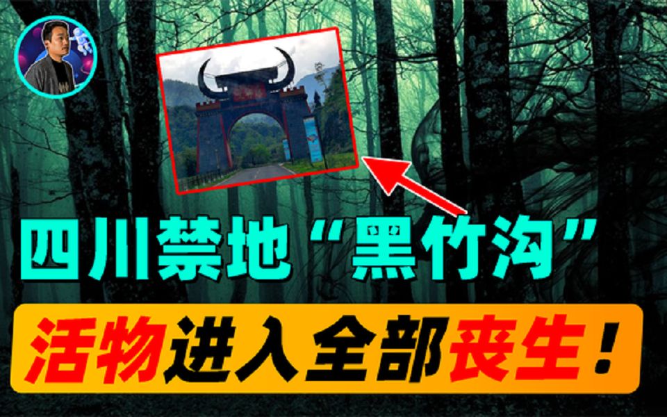 四川禁地"黑竹沟",人畜进入全部丧生,中科院院士冒死前去调查