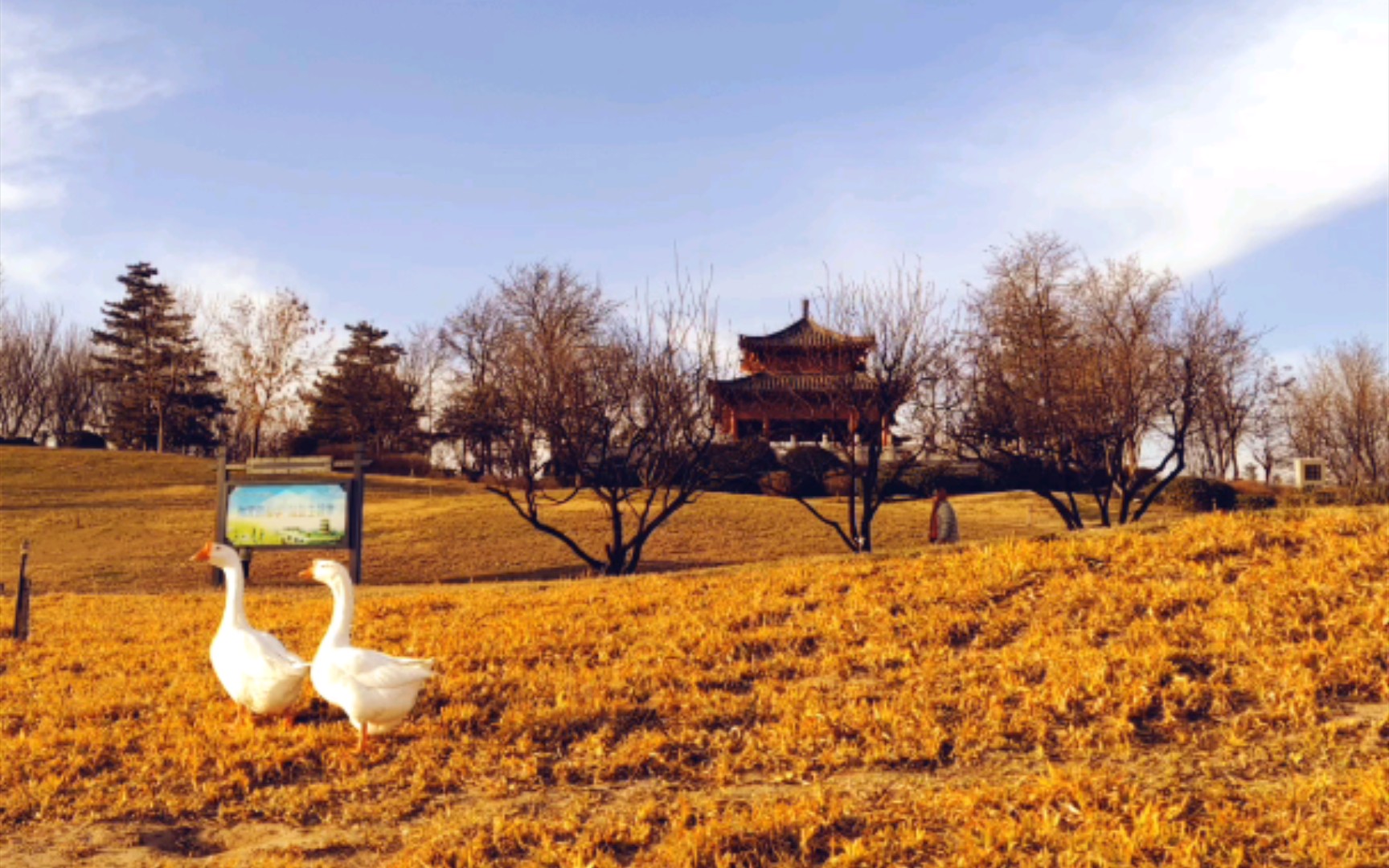 开封银滩旅游照片分享