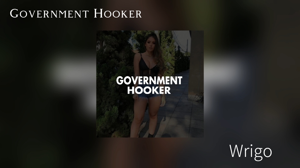 Government HookerWrigo哔哩哔哩bilibili