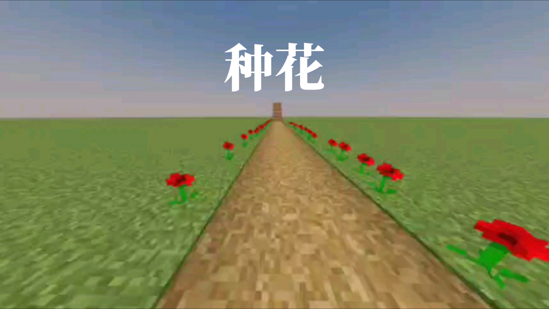 种花我的世界