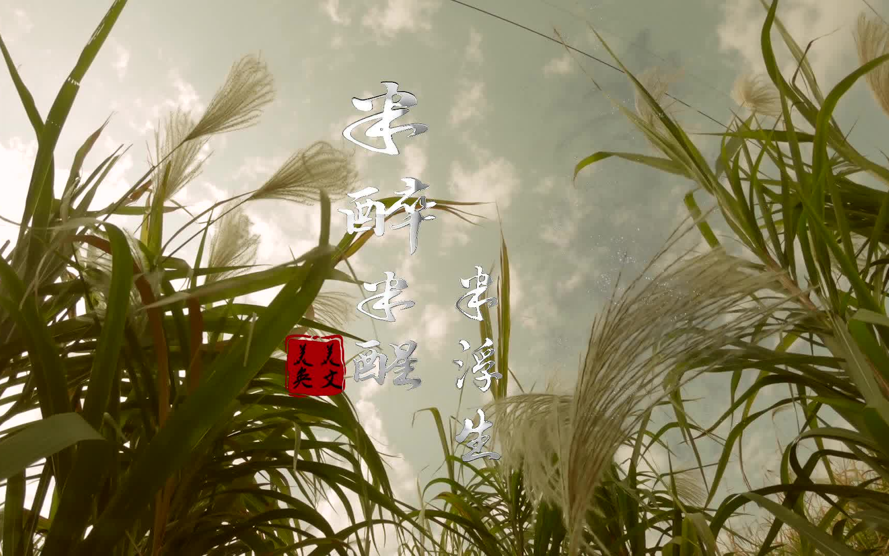 半醉半醒半浮生.一念起,天涯咫尺;一念灭,咫尺天涯.