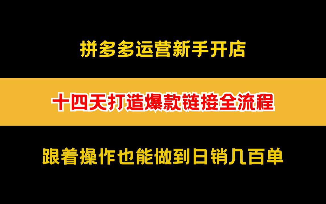 拼多多运营店铺被小二藏起来的后台的一些起店流程,十四天打造爆款链接,从零做到日销几百单哔哩哔哩bilibili