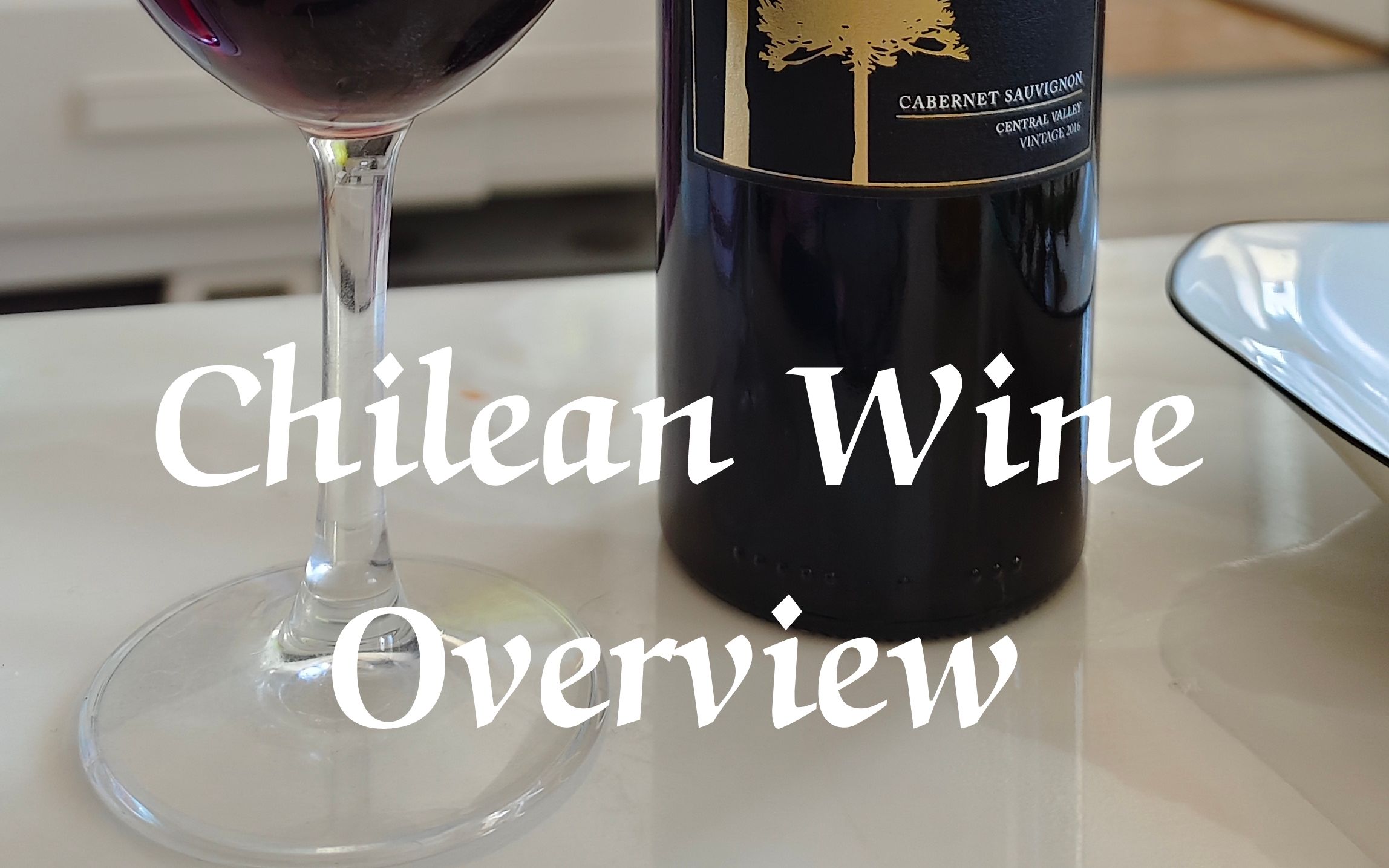 chileanwineoverviewvideoyouwu