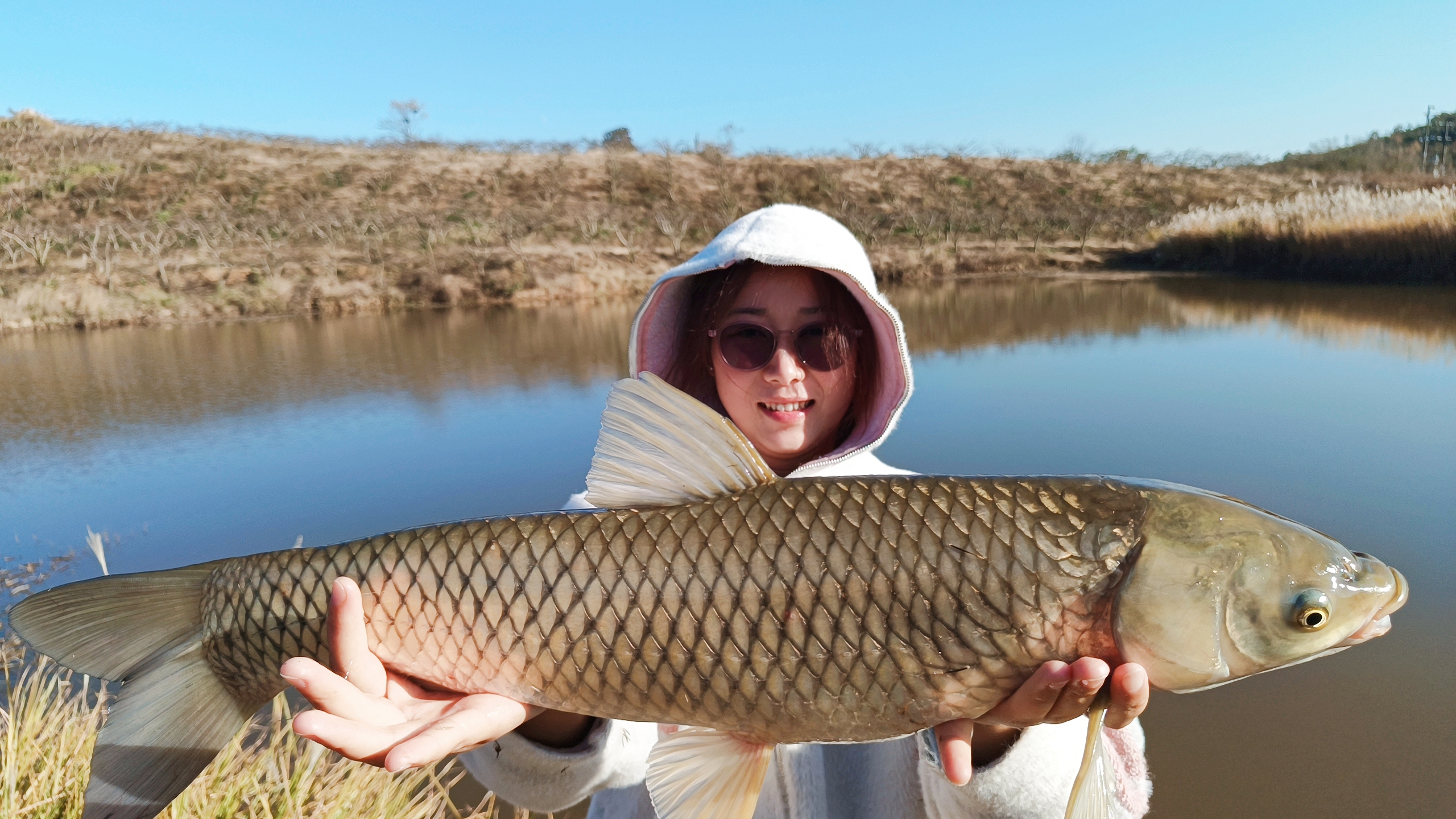 农村媳妇做梦也没想到,冬天还能钓到草鱼